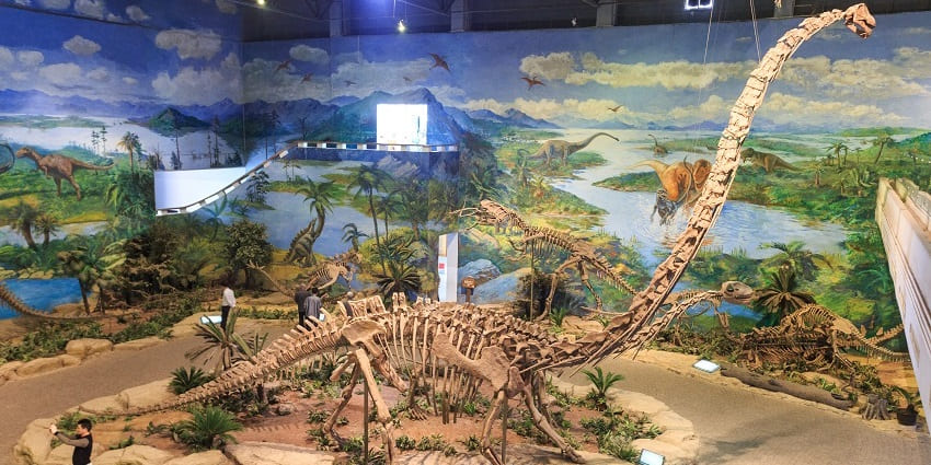 Balasinor Dinosaur museum is India’s very first dinosaur museum and fossil park.