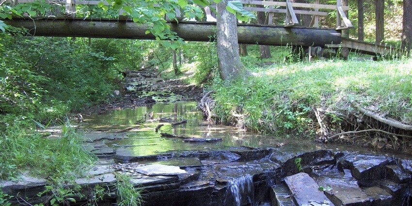 Snapshot of the water flowing through the canal amidst the surrounding of Mhadei Wildlife Sanctuary