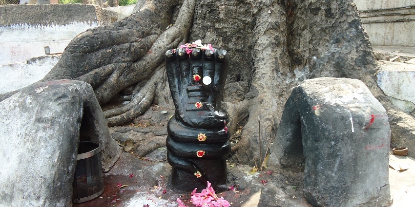 Pay your respects at the Ameda Temple in Kerala with its traditional design and elements