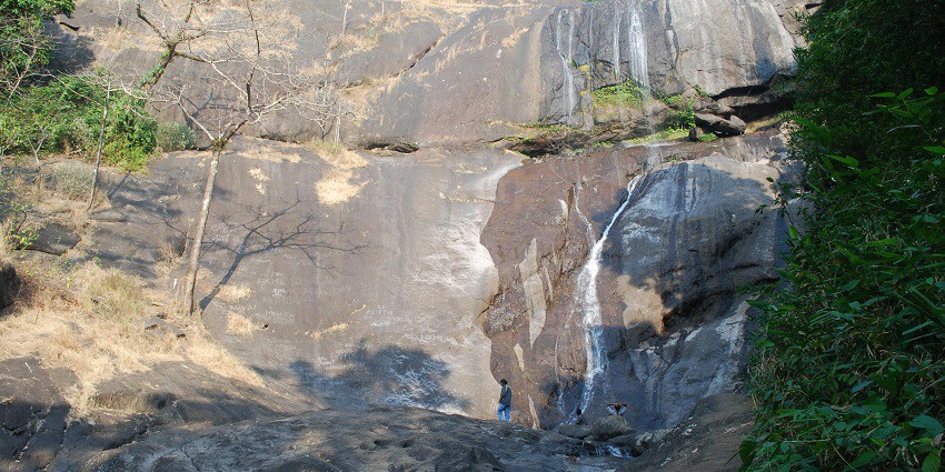 There are many breathtaking sites to witness while indulging in Thusharagiri trekking.