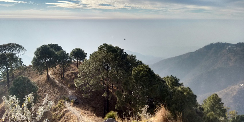 Lower Himalayas in Kasauli, perfect for Kasauli treks and exploring nature.
