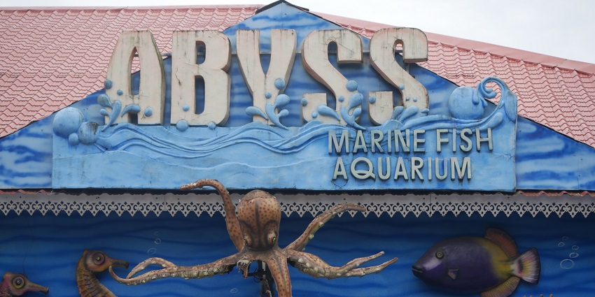 A breathtaking view of Abyss Marine Aquarium, one of the best places to visit in Panjim.
