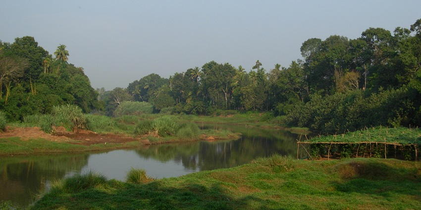 A scenic view of a river flowing through a lush green landmass with trees all around
