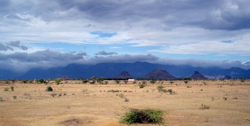 A picture of a scenic landscape of desert land and mountains in the background