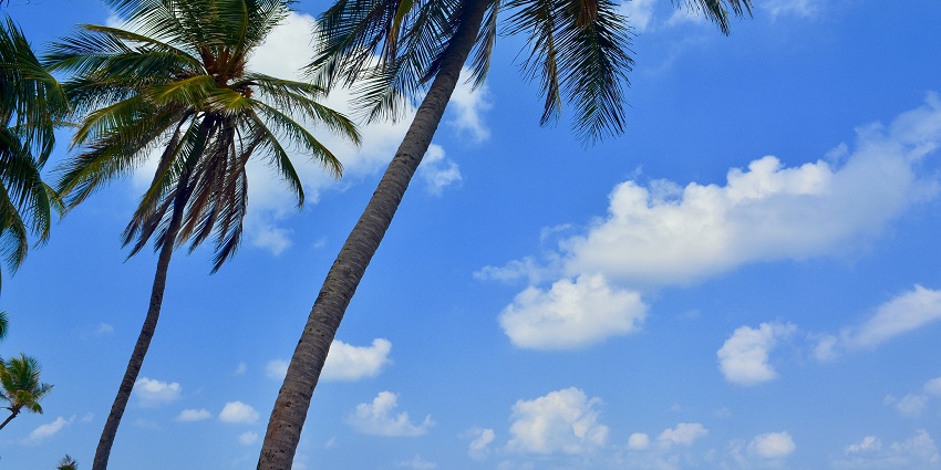 Beautiful turquoise waters, white sands and swaying coconut trees on Agatti island.