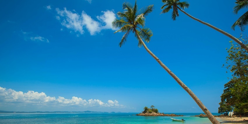 Agonda Beach is one of the ideal places to visit near Varca Beach for a coastal escape away from the crowds