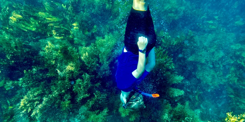 A mesmerising view of a person enjoying snorkelling underwater with various corals.