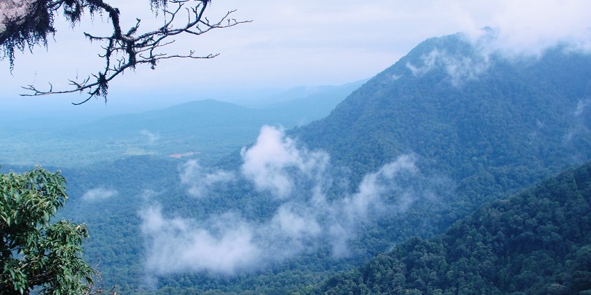 Agumbe, one of Karnataka hill stations, features waterfalls, thick forests, and breathtaking views.