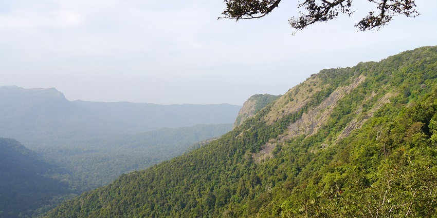 Agumbe is a place decked with lush forests and eminent vistas that you must visit.