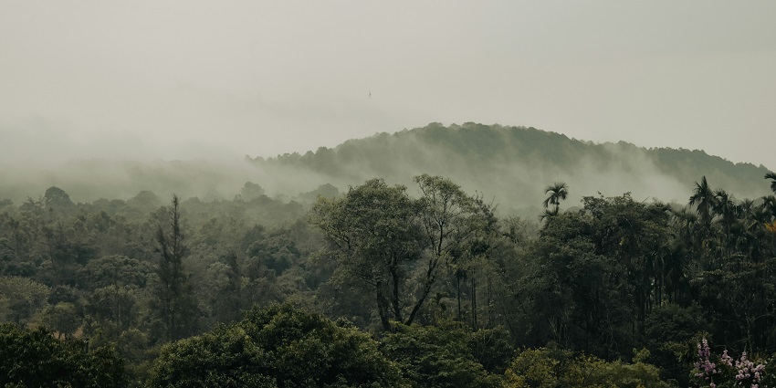 A breathtaking view of Agumbe with misty terrains and jungle during the daytime. 