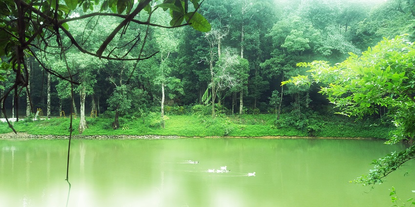 The lake near the checkpost in Agumbe which seems a scenic visual retreat.