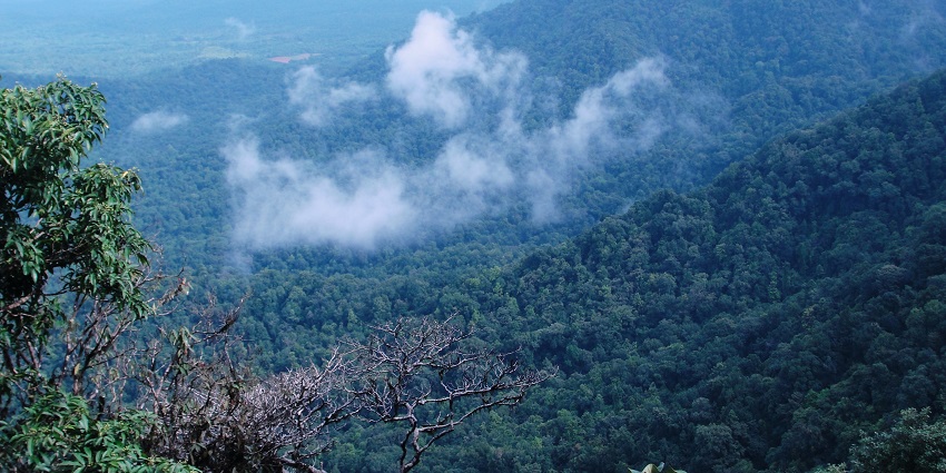 A scenic view from the top of the Agumbe hill which is an idyllic hillstation near Goa
