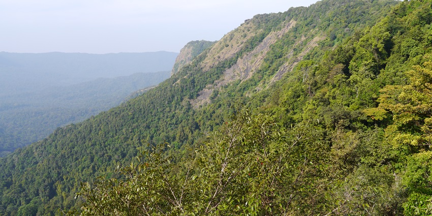 Abundant biodiversity of Agumbe, one of the top hill stations near Bangalore to explore.