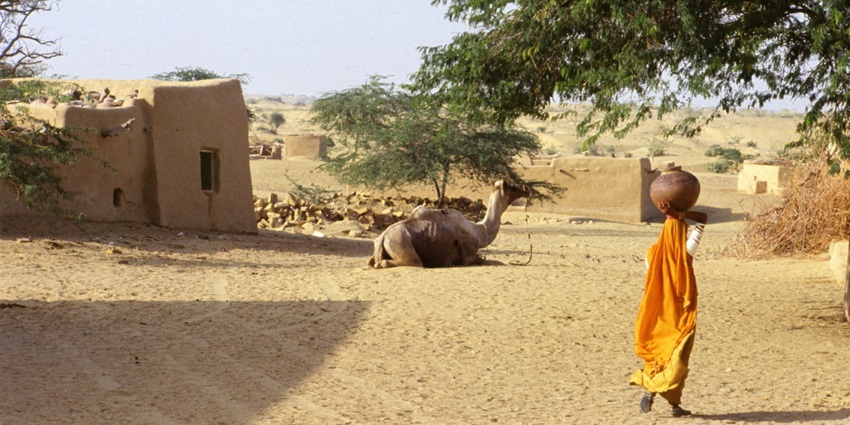 Image of a village in Rajasthan - a lady carrying water in a matka and a camel on the side