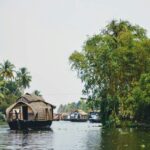 Along with stunning scenery and backwaters, visitors can savour the best food in Alappuzha.