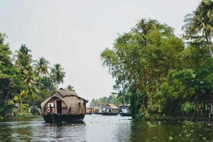 Along with stunning scenery and backwaters, visitors can savour the best food in Alappuzha.