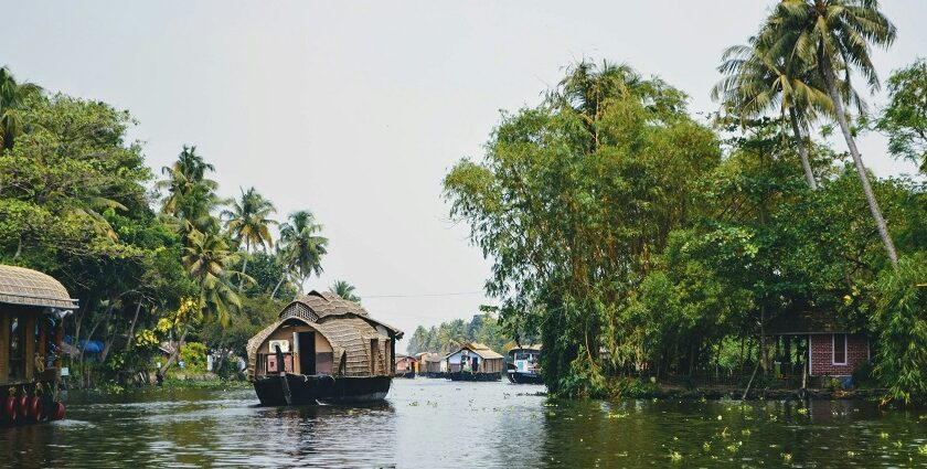 Along with stunning scenery and backwaters, visitors can savour the best food in Alappuzha.