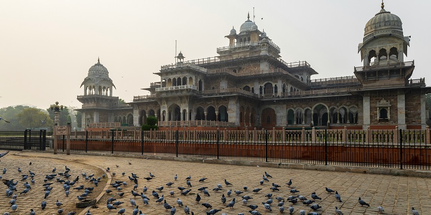 A flock of birds at Albert Hall Museum, one of the top places to visit near Hawa Mahal.