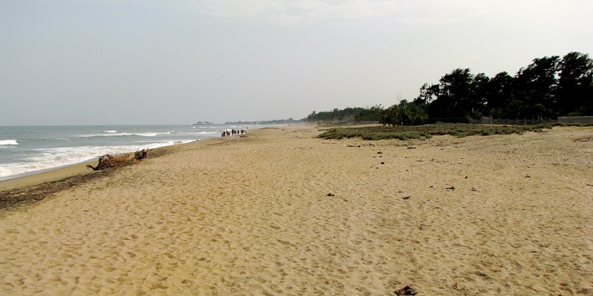 Alvekodi Beach, one of the beaches in Gokarna, has a lengthy sandy beach, calm waves, and lovely views of the palm trees.