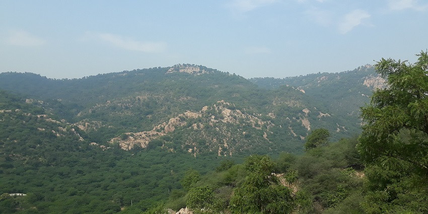 An image of Alwar forest and wildlife sanctuary in Aravalli range in the Alwar district