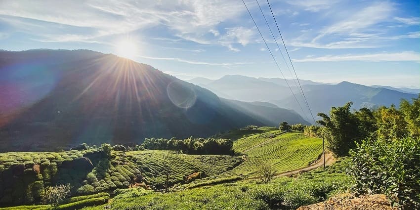 Scenic view of Alwar hills showcasing lush greenery and serene landscapes under a clear sky.