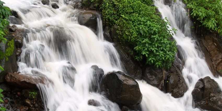 A scenic view of glistening waters cascading through the rocky cliffs at Amboli Falls.