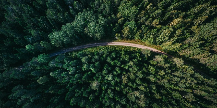 An aerial view of lush green dense forests, one of the best places to visit in Amboli.