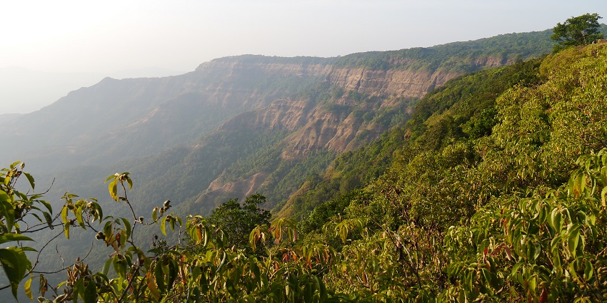 Scenic view of Amboli Ghat, showcasing lush greenery and winding roads amidst the Western Ghats