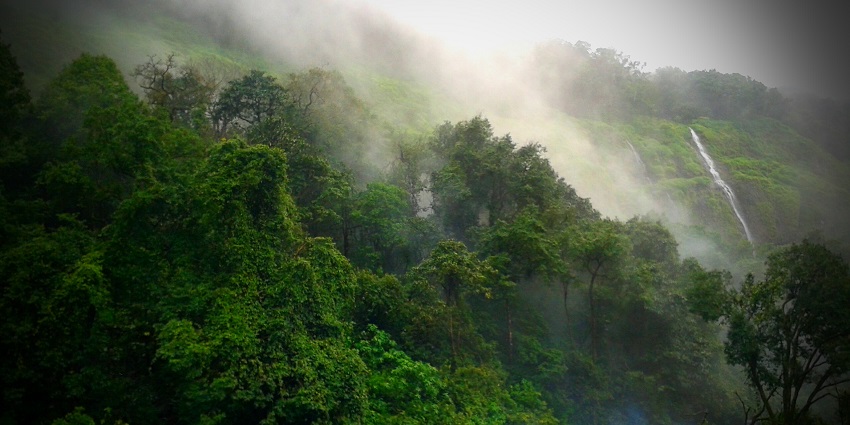 Beautiful image of the Amboli Waterfalls amidst the green lush jungle