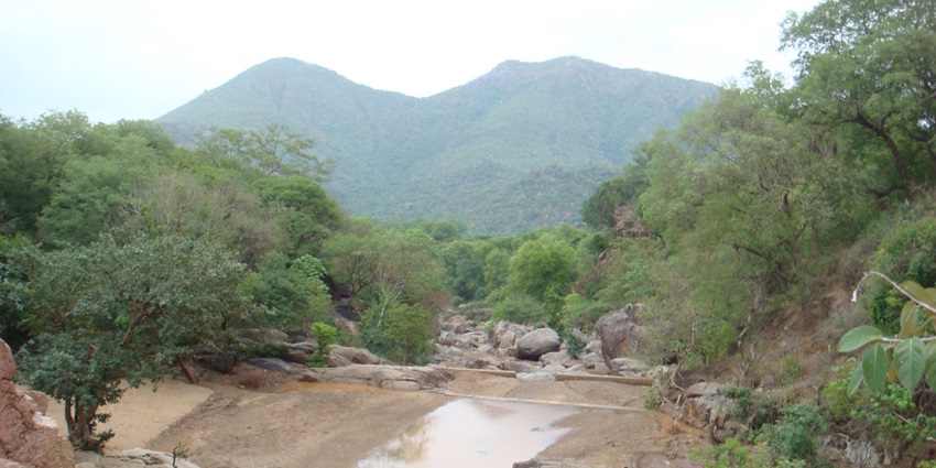 Amirthi Zoological Park is one of the most amazing places to visit near Tirupati