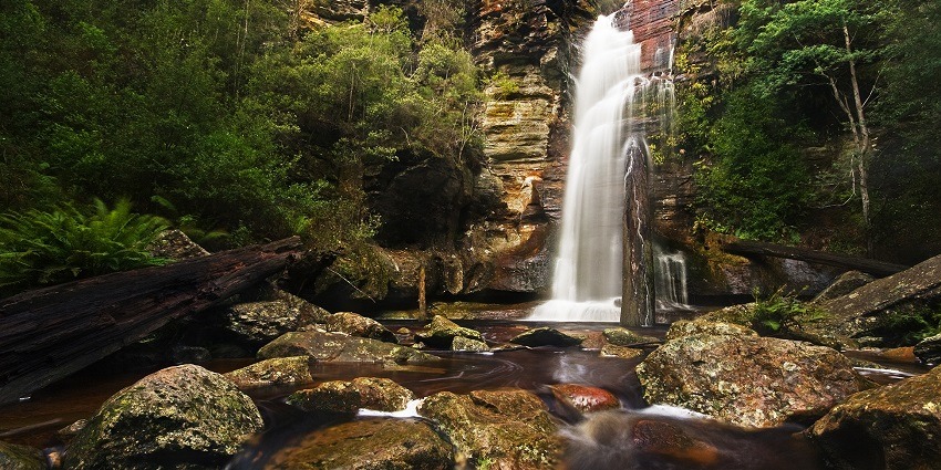 Snapshot of the beautiful Amruthadhara Waterfalls descending into the forest
