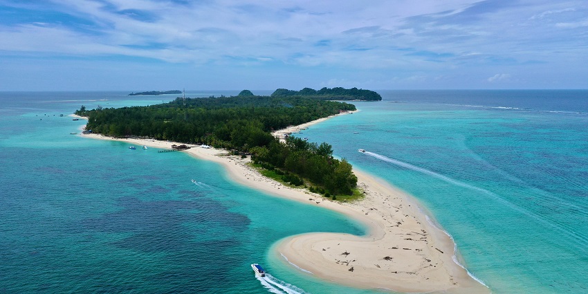 Tranquil beach scene with vibrant green trees and soft white sand under a sunny sky.