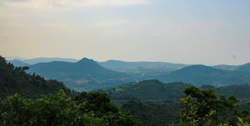 A breathtaking view of a lush green valley in Andhra Pradesh during the daytime.