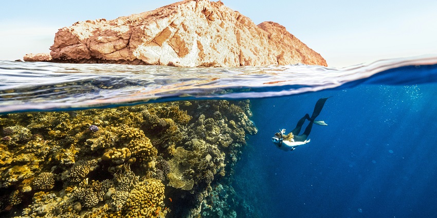 Witness colourful corals and fishes while on Similan Islands scuba diving at Anita’s Reef.