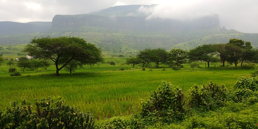 Image of Anjineri fort around the lush greenery covered hills and misty weather in Nasik