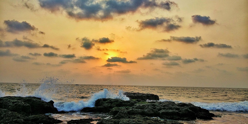 Anjuna Beach is one of the famous beaches in Goa with a laid-back vibe and palm trees