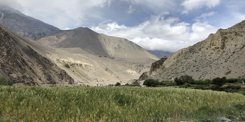 Beautiful meadows in Annapurna Conservation Area, home to a diverse variety of flora & fauna.