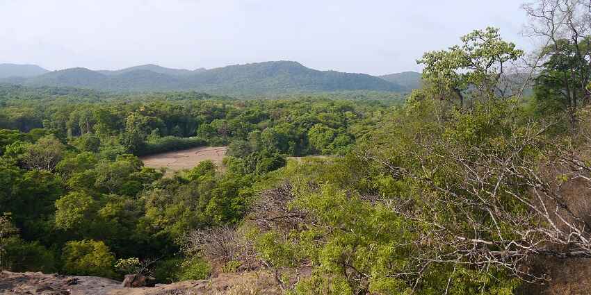 Scenic view of the dense forest at Anshi National Park with forested hills at the far end