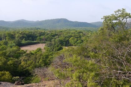 View of the Anshi National Park, surrounded by lush greenery, offering a serene setting.