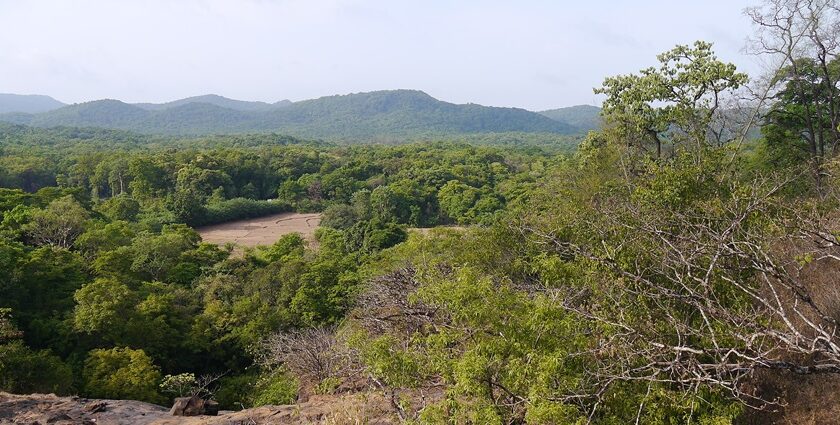 View of the Anshi National Park, surrounded by lush greenery, offering a serene setting.