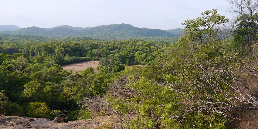 The view of Anshi National Park, surrounded by trees, one of the best wildlife sanctuaries in Karnataka.