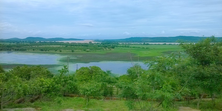 The serene Anshupa Lake is one of the best places to visit around Netaji Museum Cuttack.