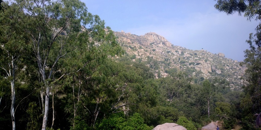 Anthargange's rock formations are ideal for hiking, encircled by thick vegetation