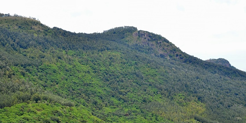 Anthargange Hills – a unique cave trekking spot among hill stations near Bangalore.