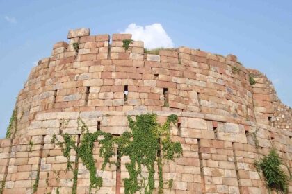 A picture of the Tughlaqabad Fort from the front with wild plants growing in the cracks in its walls