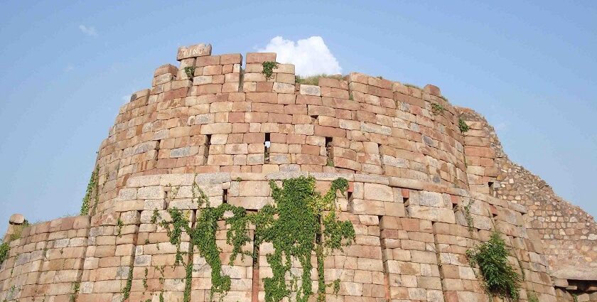 A picture of the Tughlaqabad Fort from the front with wild plants growing in the cracks in its walls