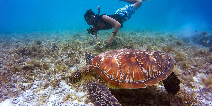 An underwater shot of Aquazen Adventures, one of the top places to try snorkelling in Goa.