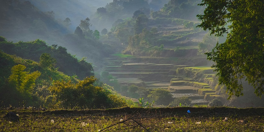 Araku Valley is a hill station that has popular sightseeing spots to explore.