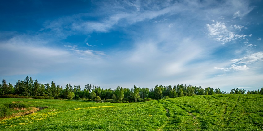Araku Valley is one of the most popular places to visit in summer in Andhra Pradesh.