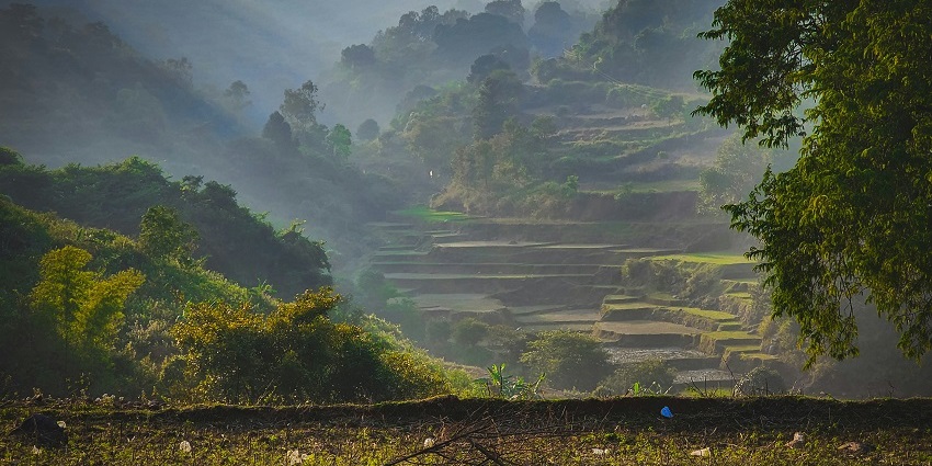 Experiencing the beauty of Araku Valley is one of the best things to do in Andhra Pradesh.